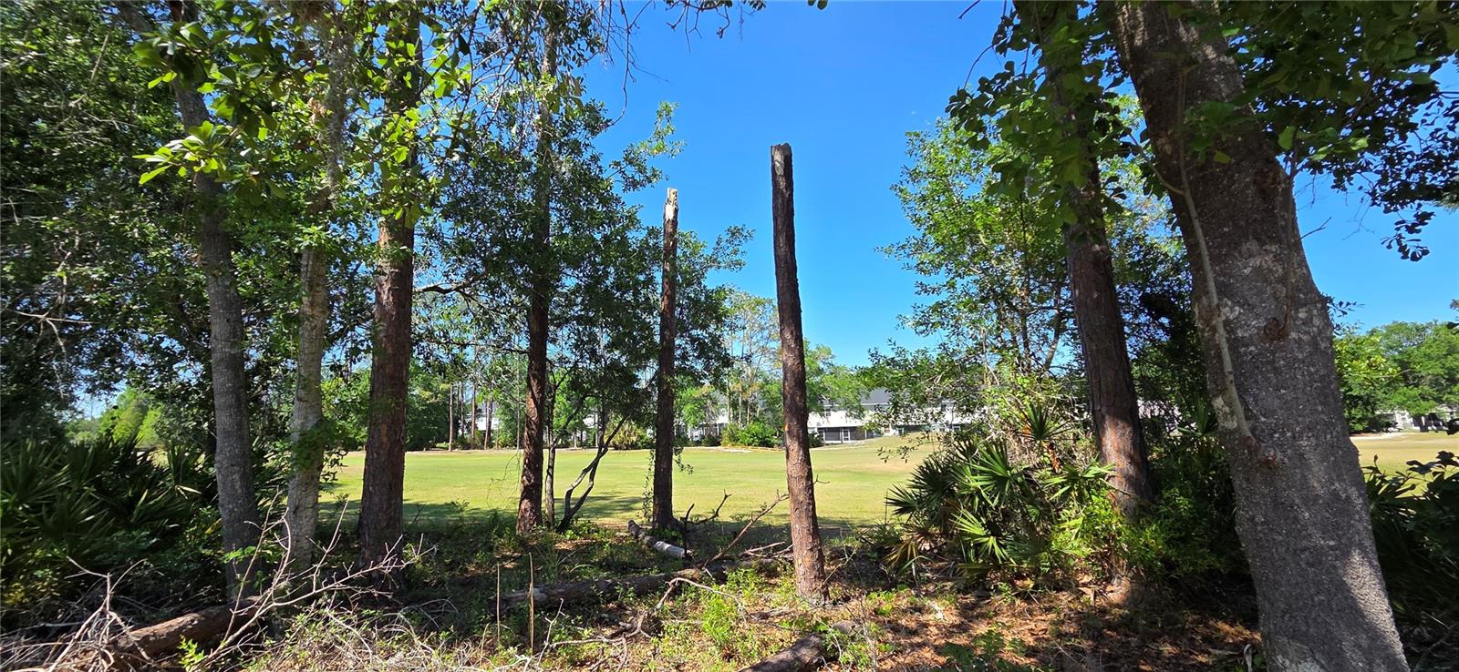 5352 CAMBERLEA AVE, ZEPHYRHILLS, FL, 33541