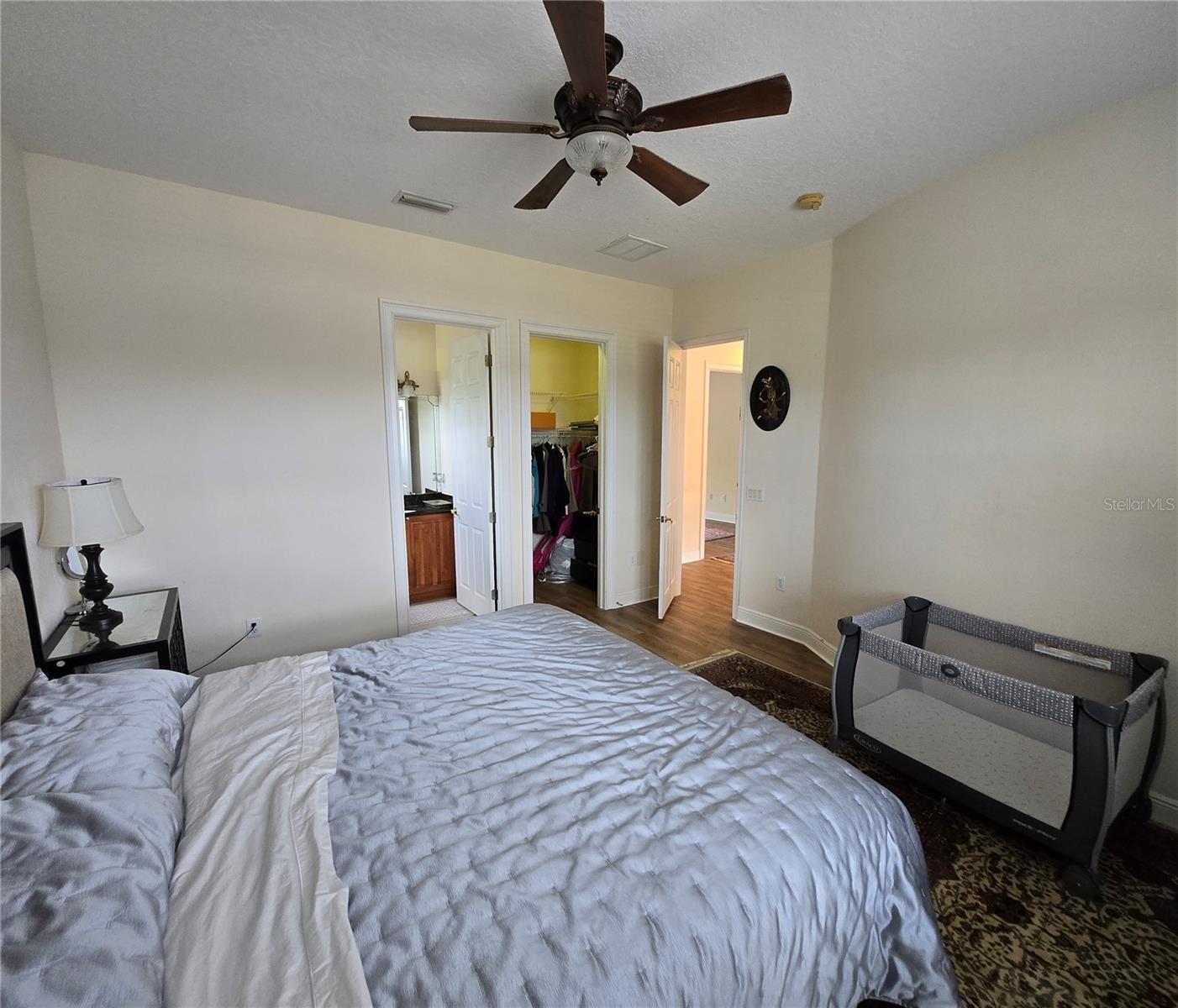 19153 GERACI RD, LUTZ, FL, 33558