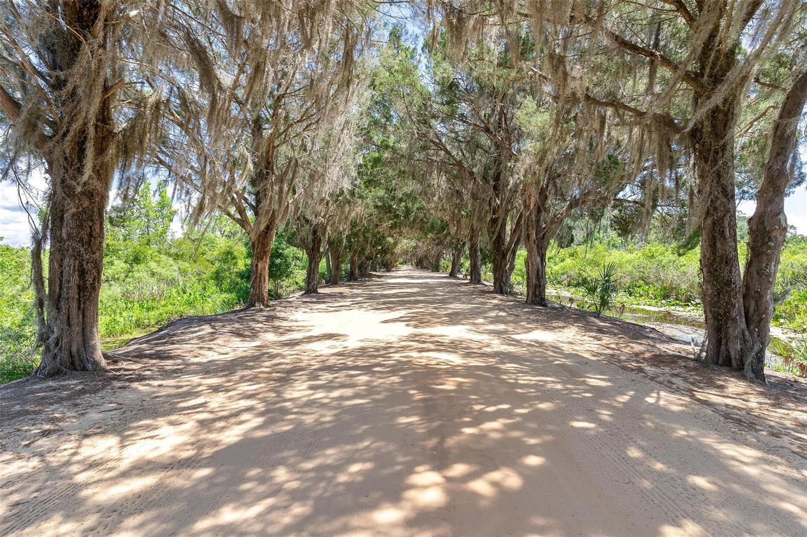 7373 CIRCLE DR, LADY LAKE, FL, 32159