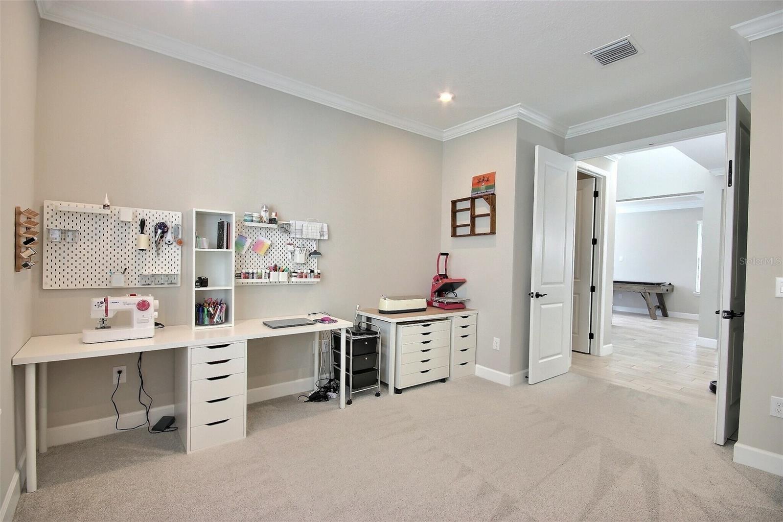10563 PIEDRA DR, PALMETTO, FL, 34221