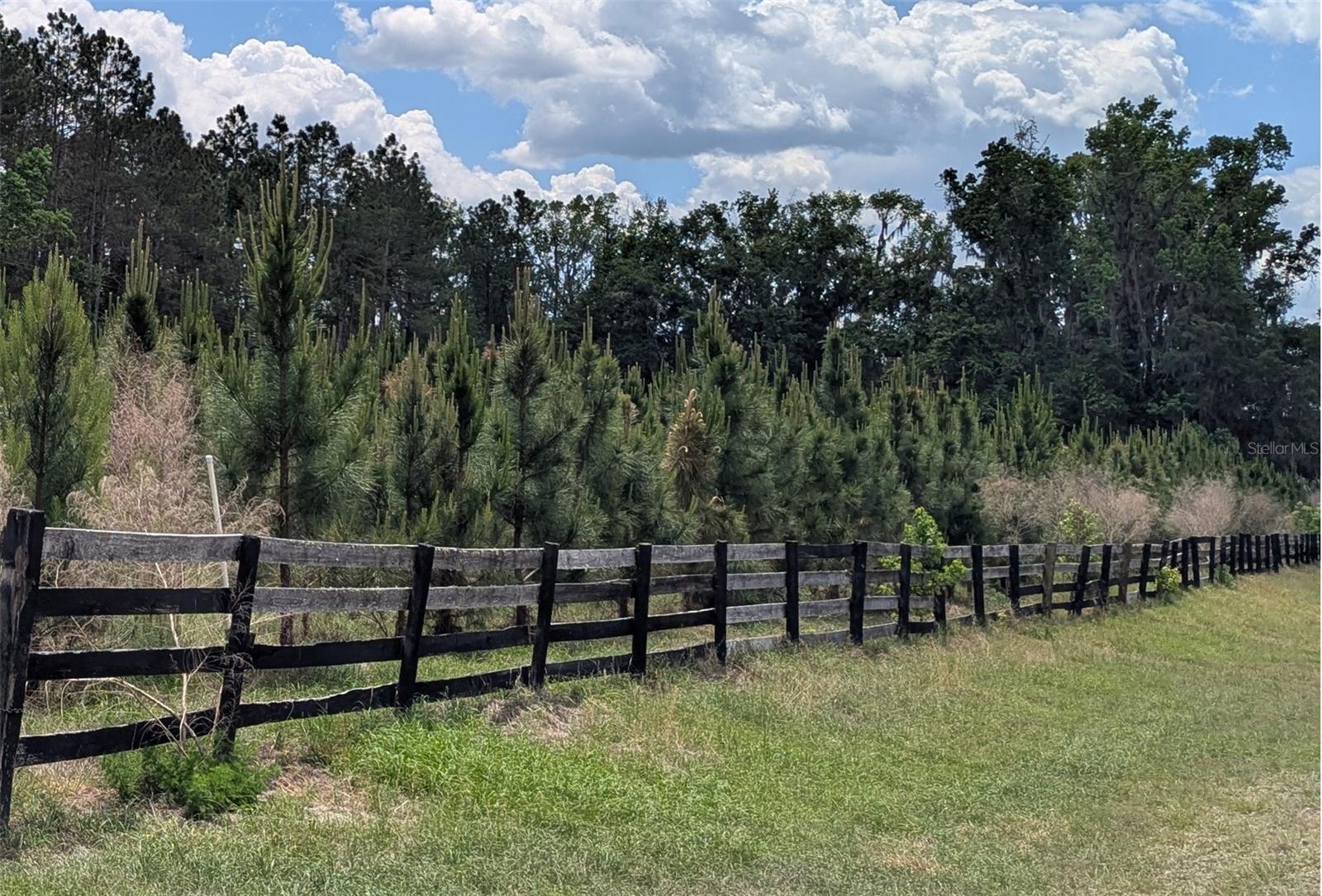 TBD NW 71ST TER, GAINESVILLE, FL, 32653