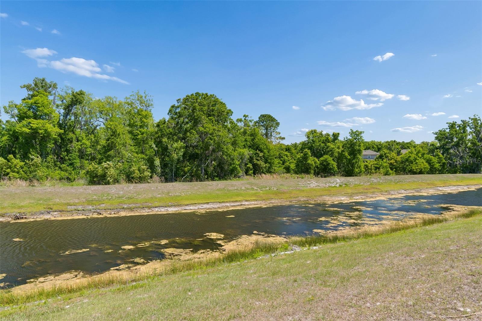 17647 CORTES CREEK BLVD, SPRING HILL, FL, 34610