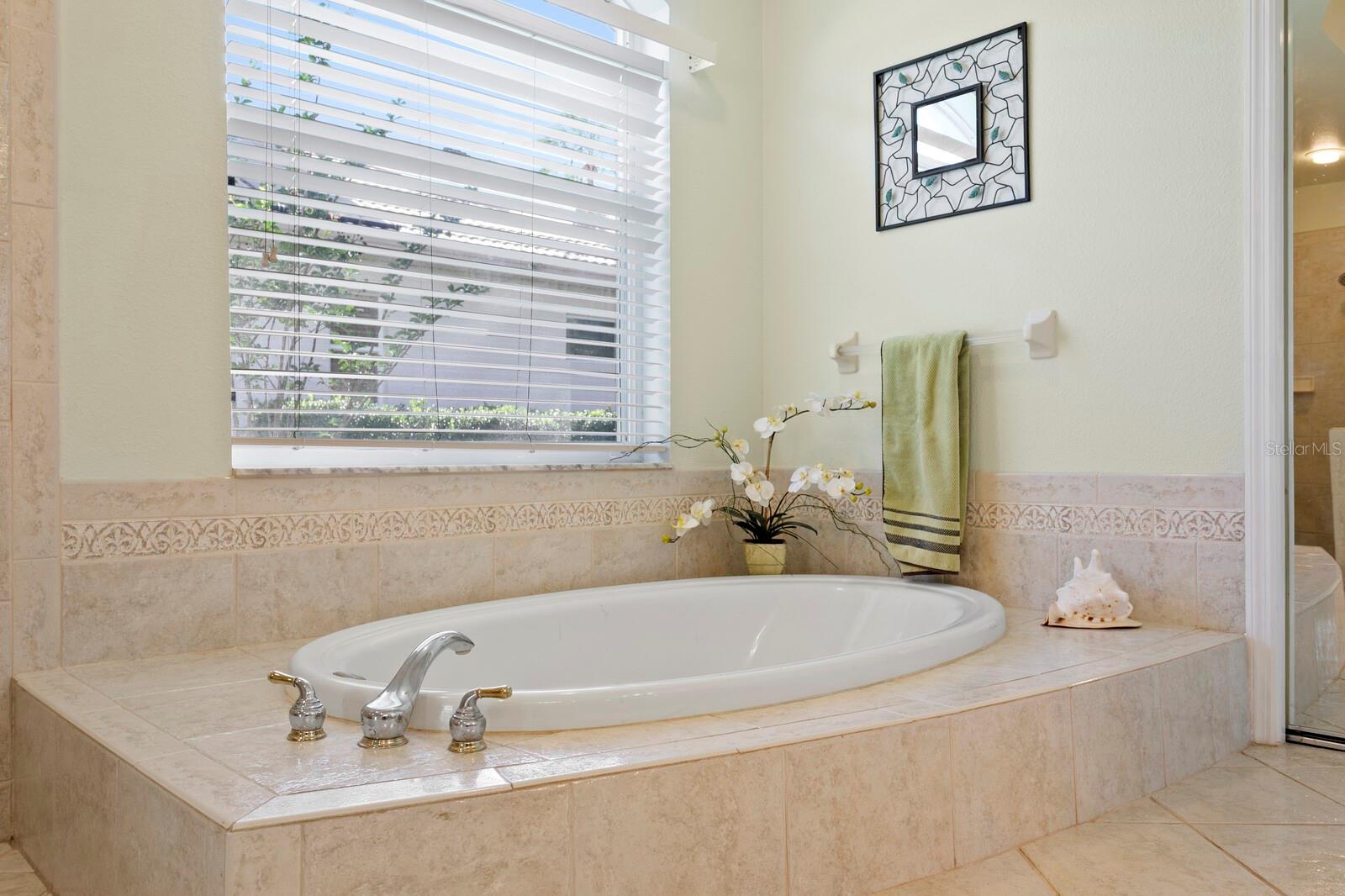 17888 ARBOR GREENE DR, TAMPA, FL, 33647