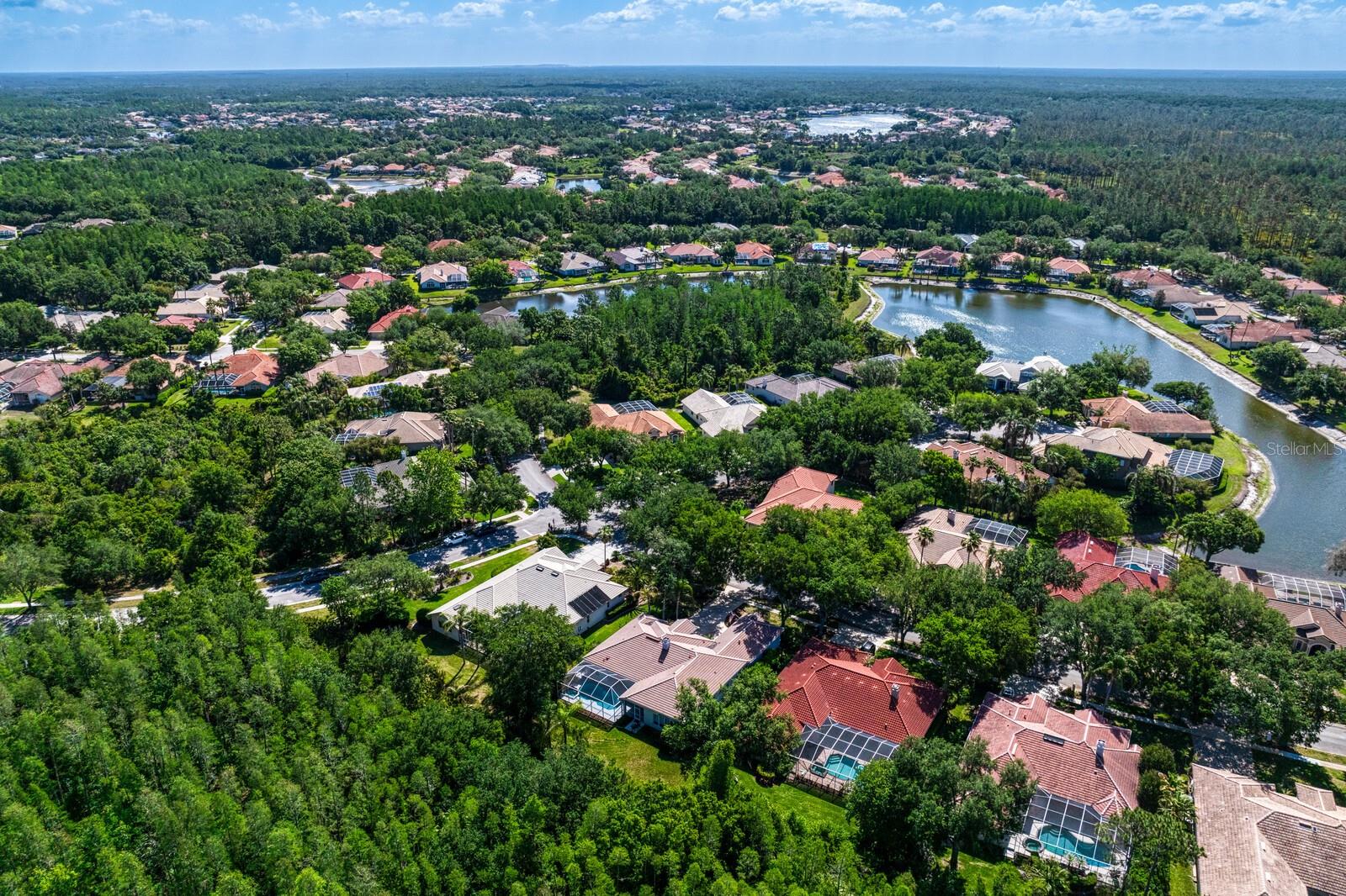 17888 ARBOR GREENE DR, TAMPA, FL, 33647