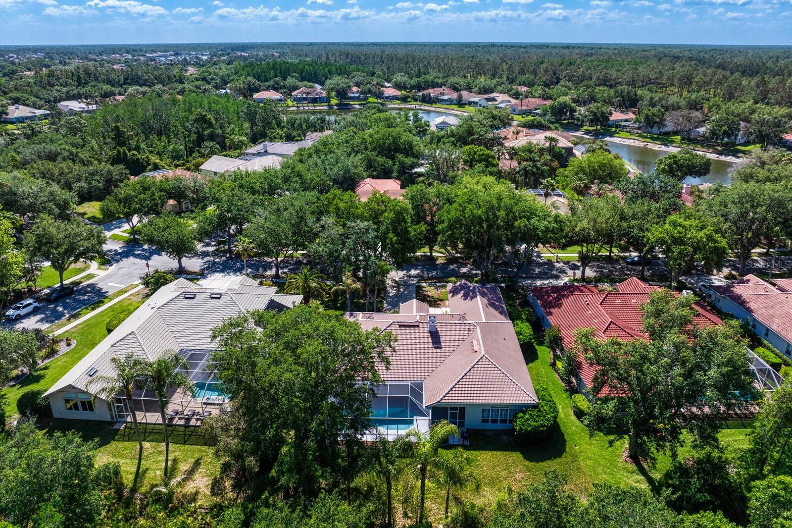17888 ARBOR GREENE DR, TAMPA, FL, 33647