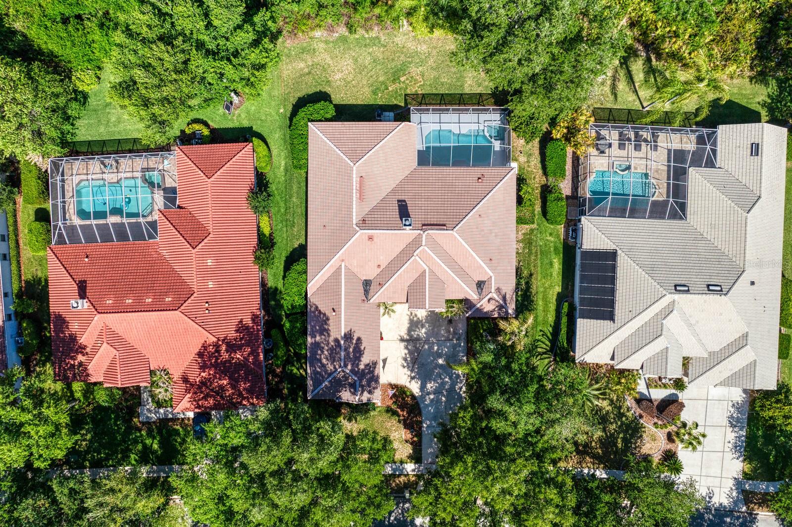 17888 ARBOR GREENE DR, TAMPA, FL, 33647