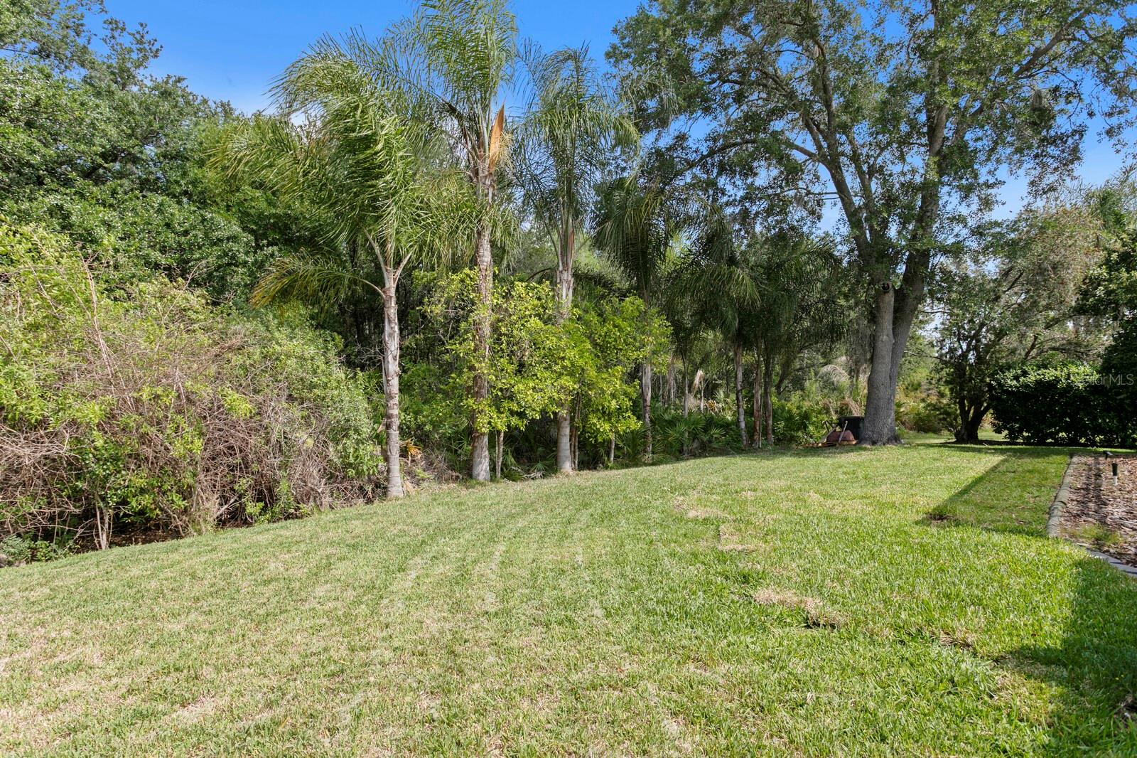 17888 ARBOR GREENE DR, TAMPA, FL, 33647
