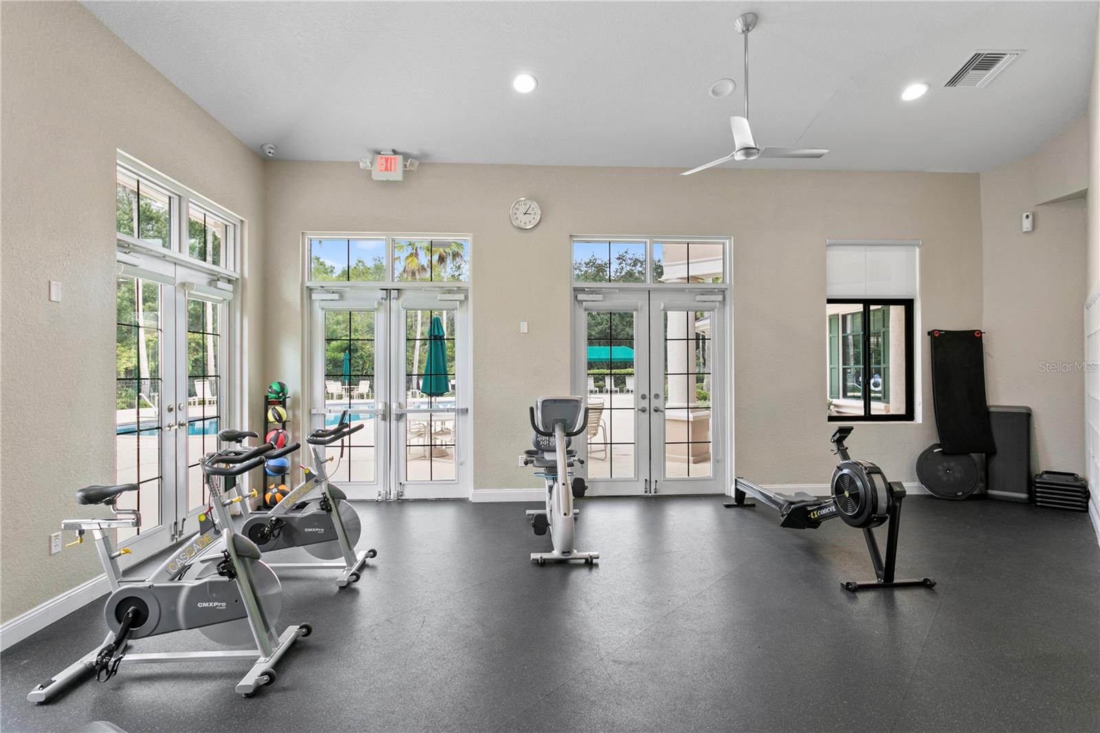 17888 ARBOR GREENE DR, TAMPA, FL, 33647