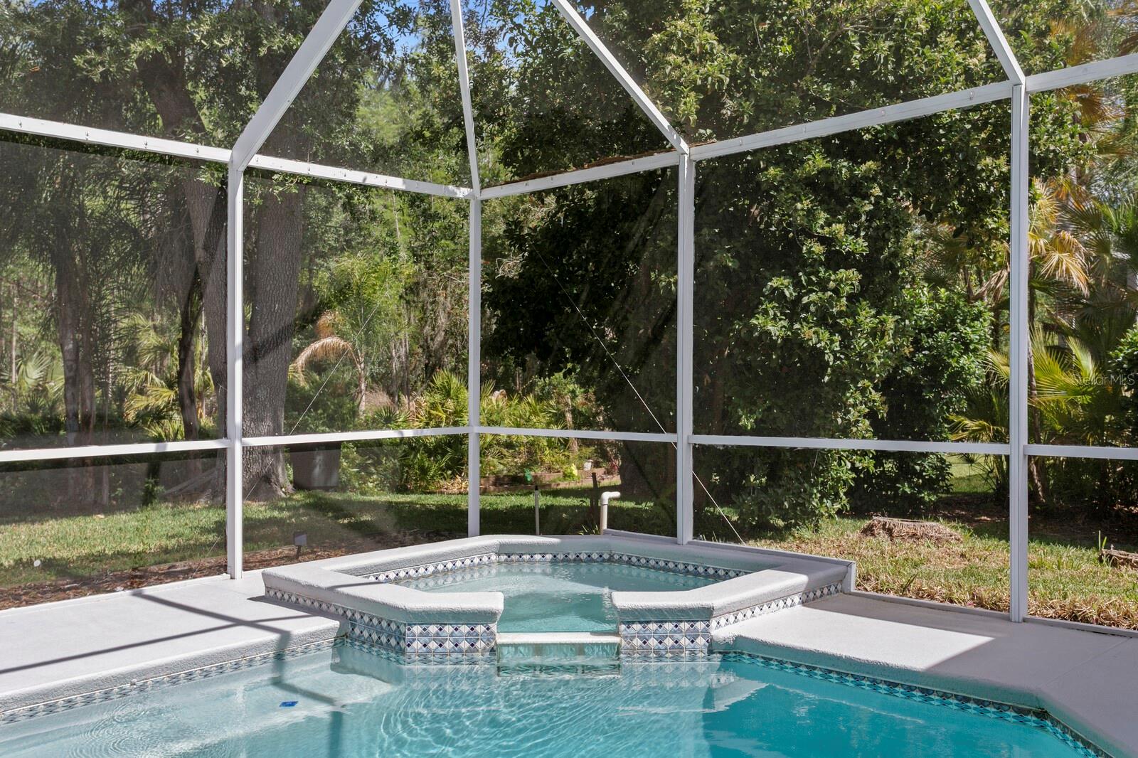 17888 ARBOR GREENE DR, TAMPA, FL, 33647