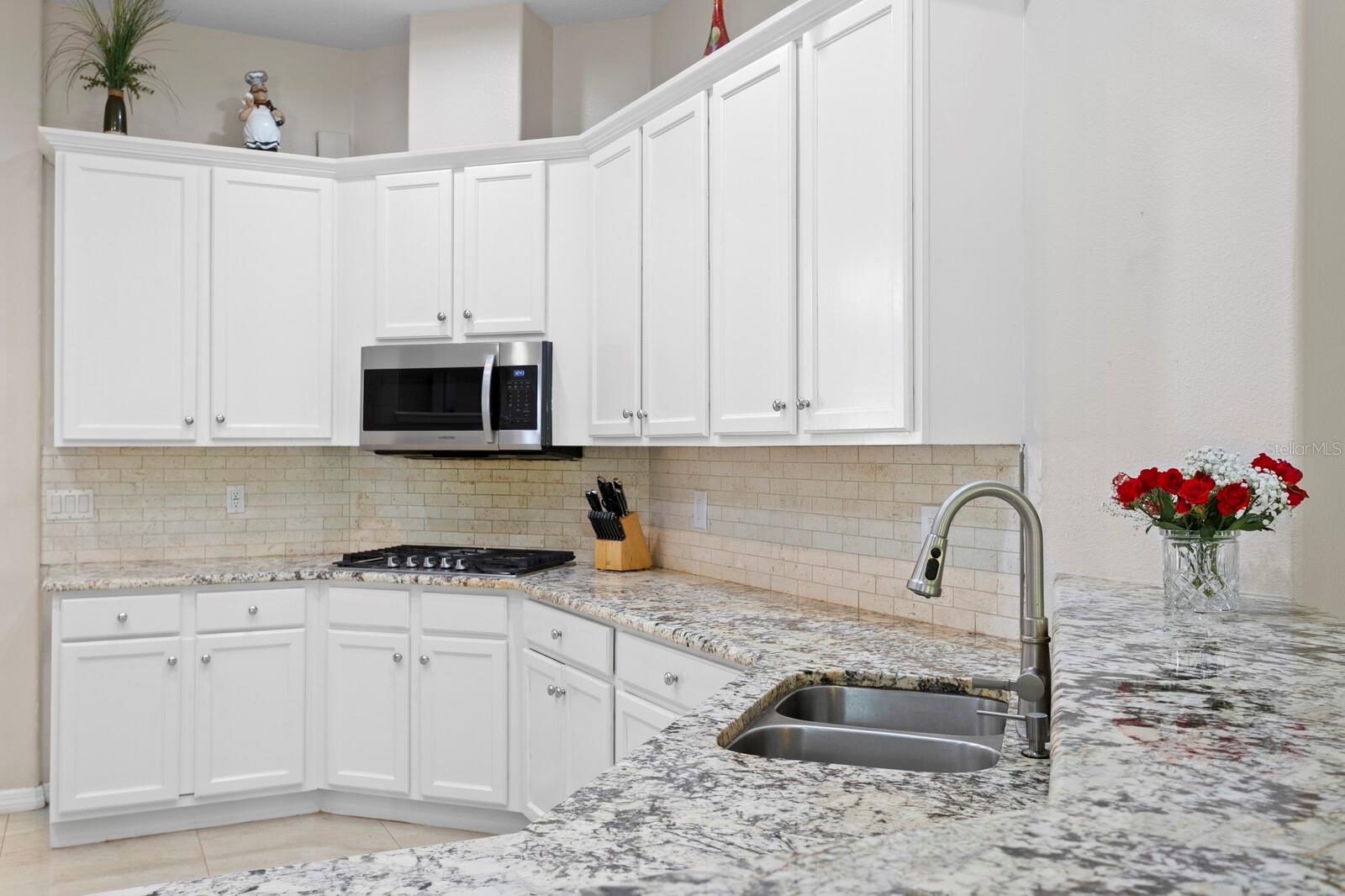 17888 ARBOR GREENE DR, TAMPA, FL, 33647