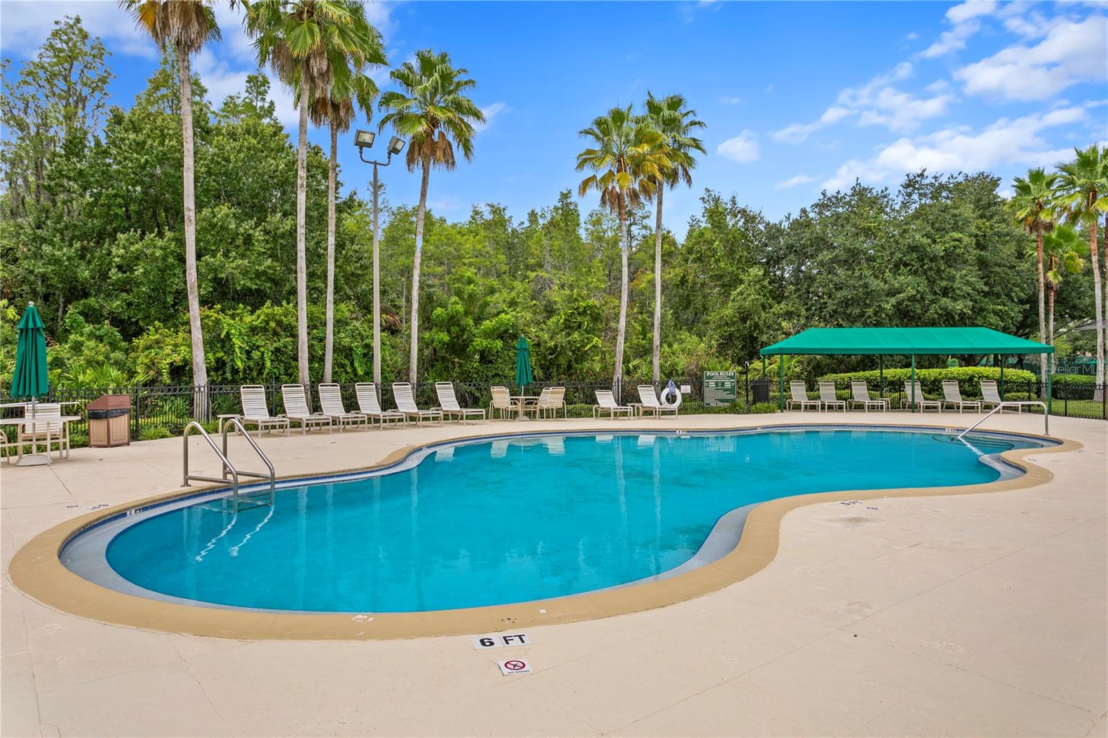 17888 ARBOR GREENE DR, TAMPA, FL, 33647