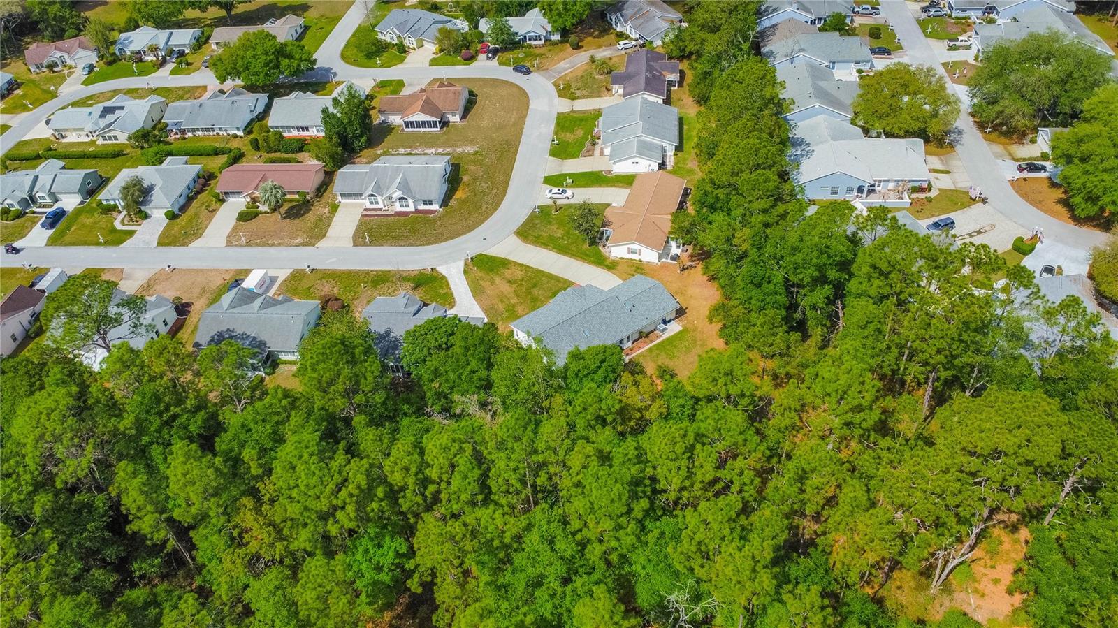 8067 SW 116TH LOOP, OCALA, FL, 34481