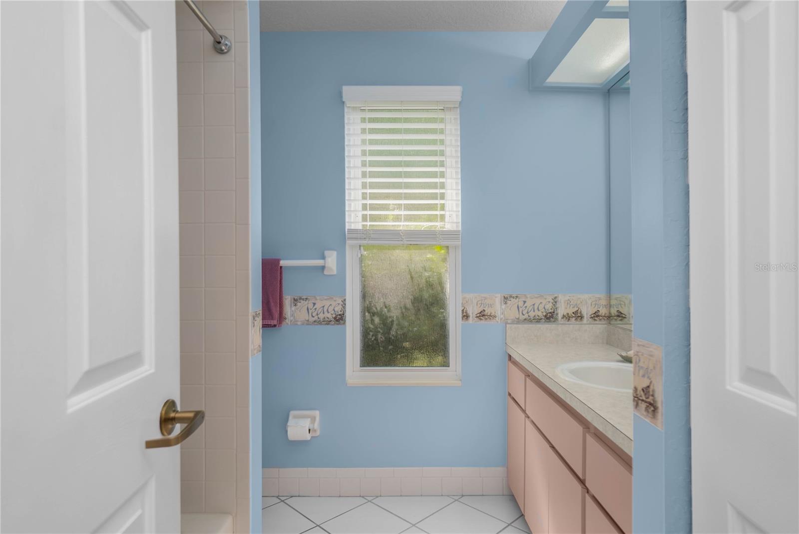 8067 SW 116TH LOOP, OCALA, FL, 34481