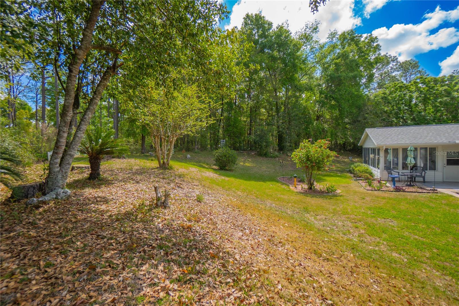 8067 SW 116TH LOOP, OCALA, FL, 34481