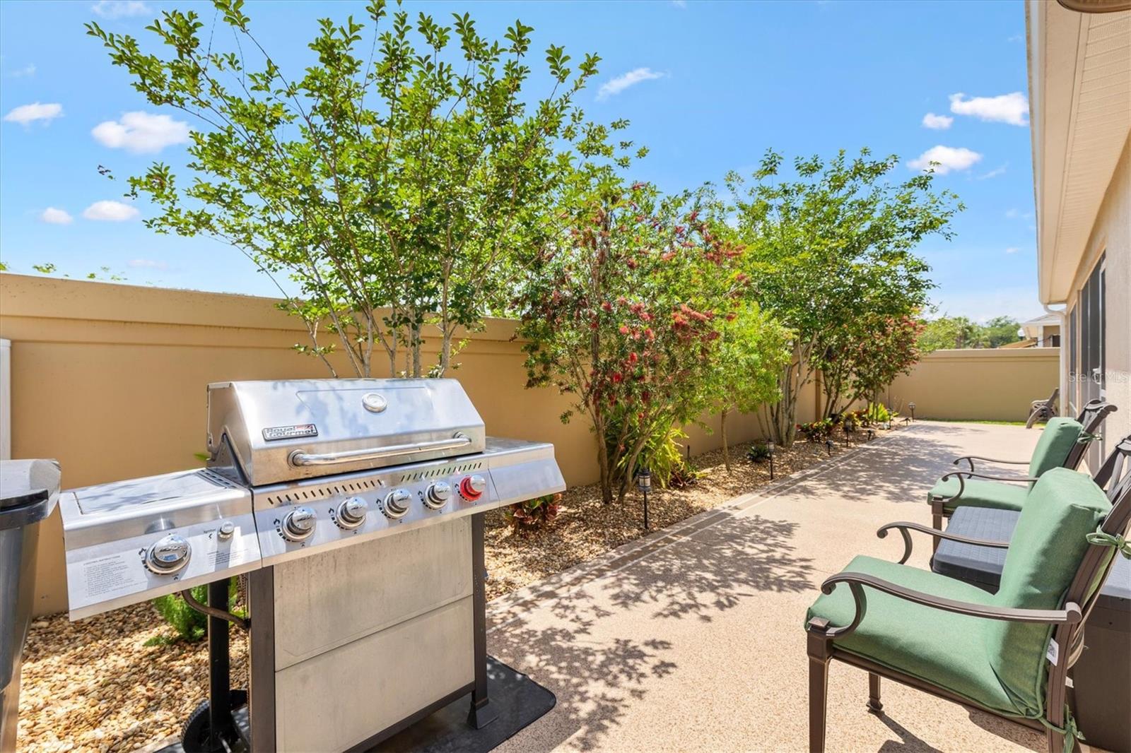 5554 MILLICAN AVE, THE VILLAGES, FL, 32163