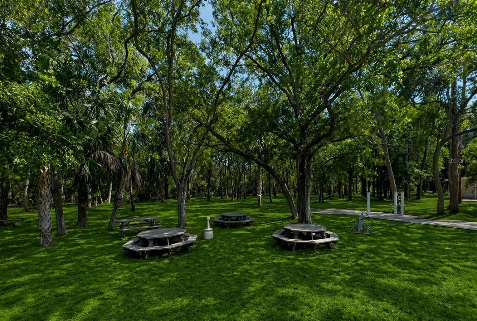 1400 GANDY BLVD N #207, ST PETERSBURG, FL, 33702