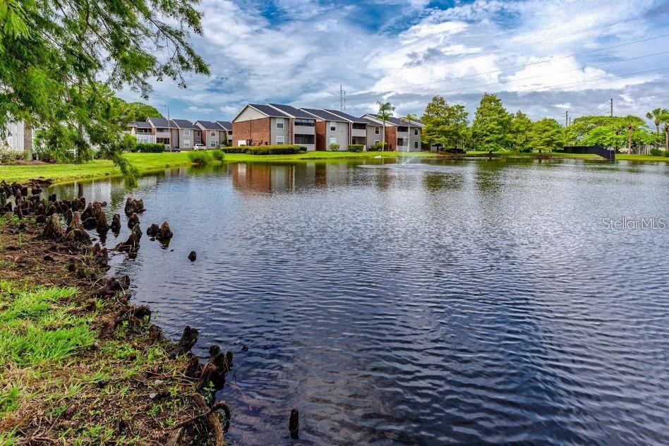 1400 GANDY BLVD N #207, ST PETERSBURG, FL, 33702