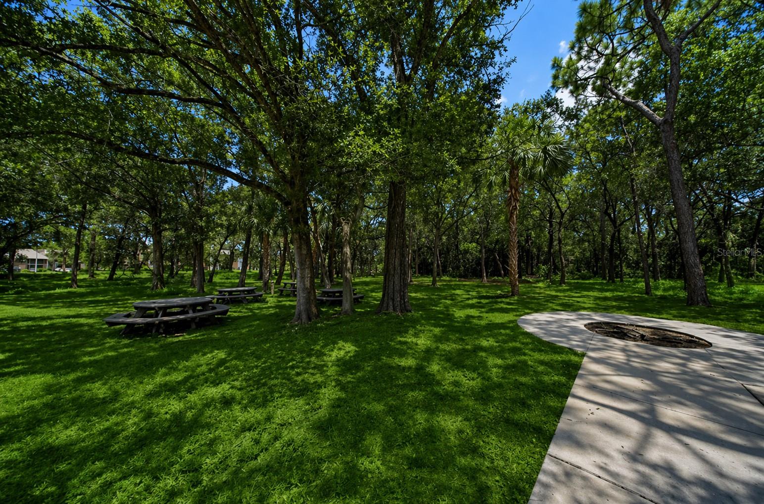 1400 GANDY BLVD N #207, ST PETERSBURG, FL, 33702