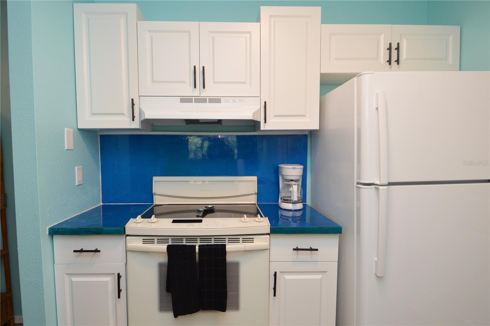 1400 GANDY BLVD N #207, ST PETERSBURG, FL, 33702