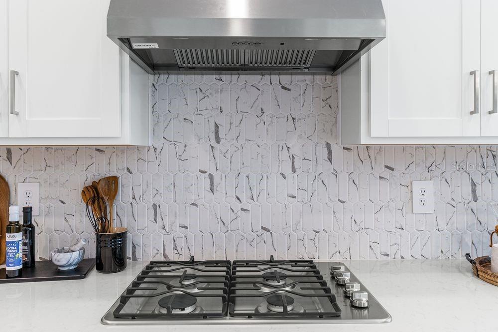 1038 TOP MINNOW RD, ST CLOUD, FL, 34771