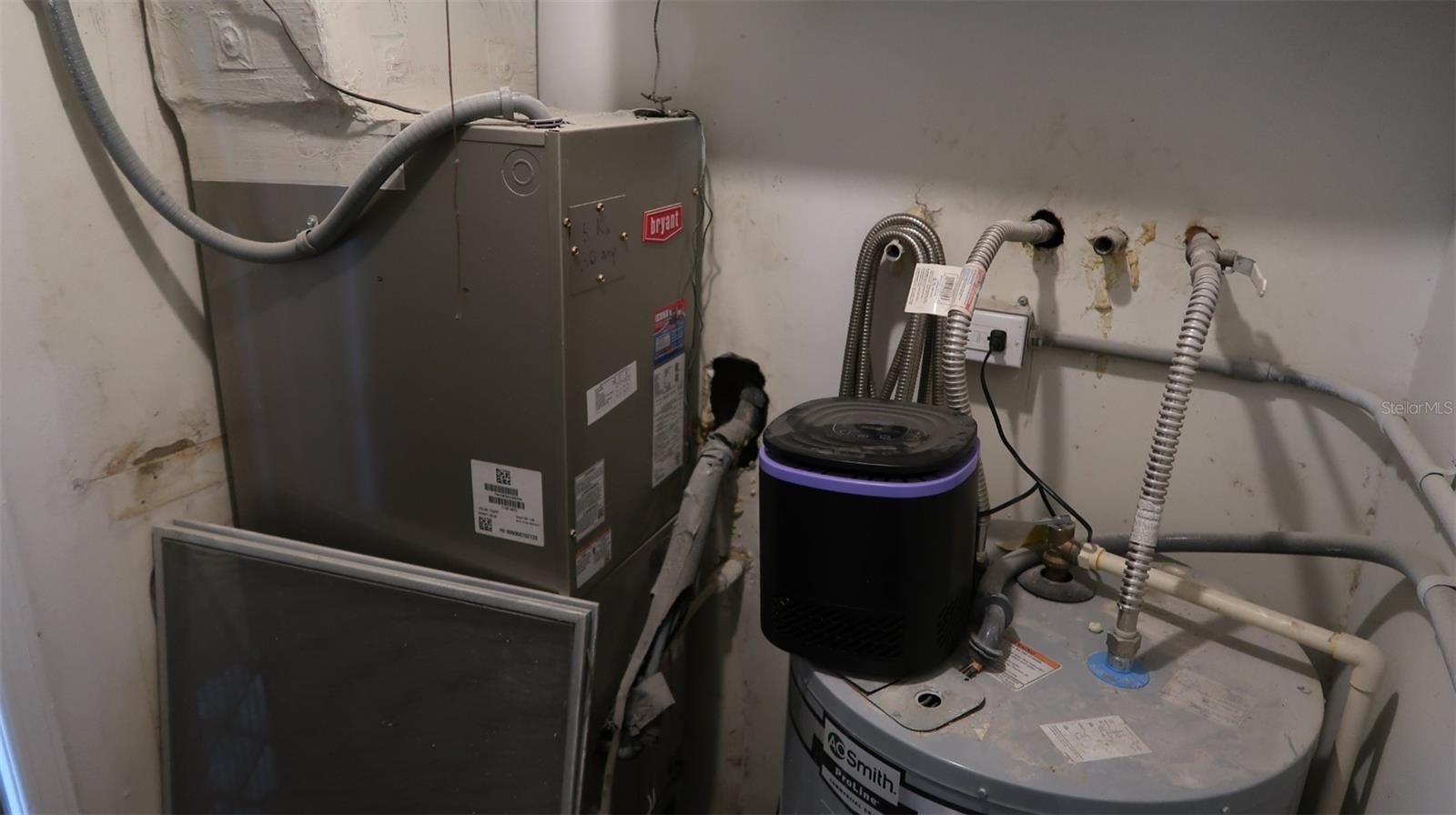 4315 AEGEAN DR #118C, TAMPA, FL, 33611