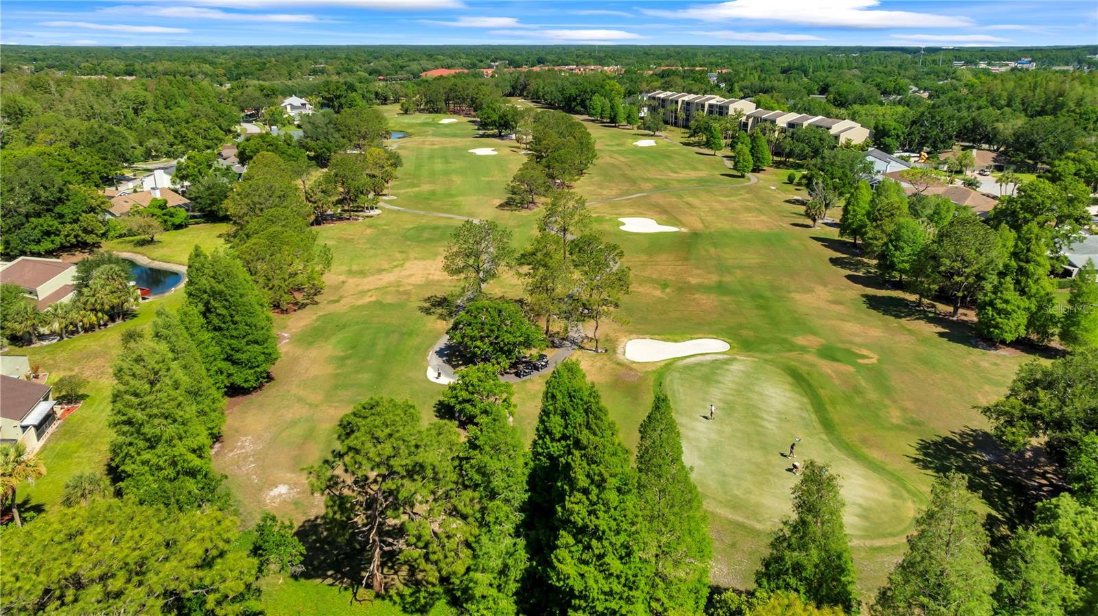 4114 PINELAKE LN #202, TAMPA, FL, 33618