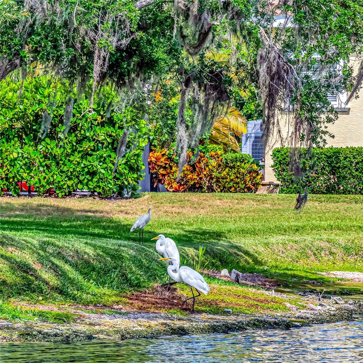 1846 AMBERWYND CIR W, PALMETTO, FL, 34221
