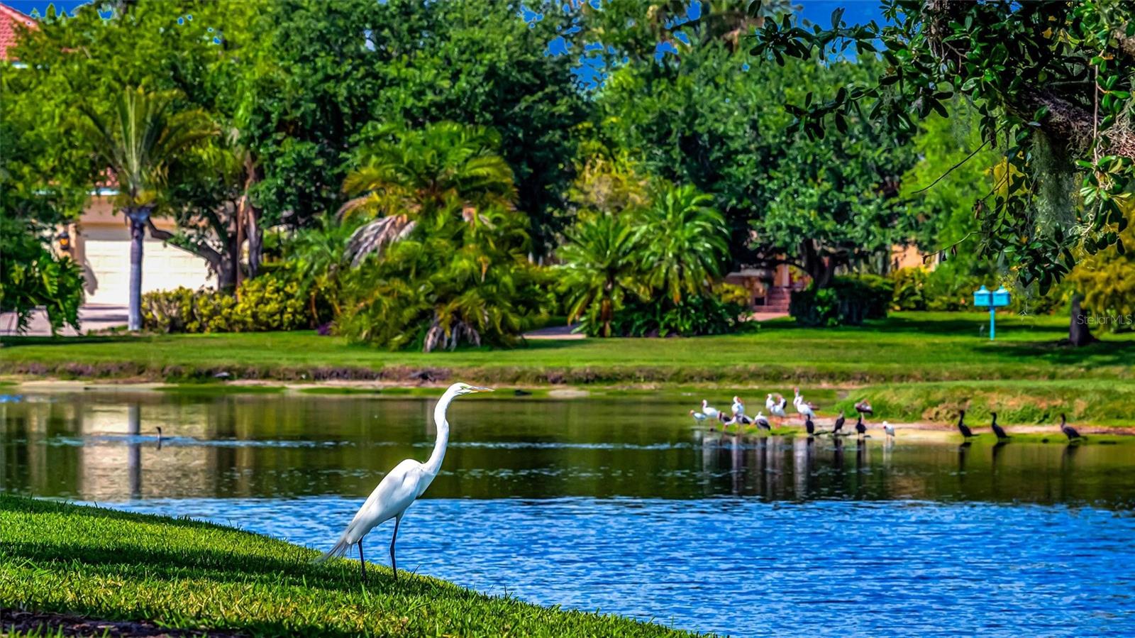 1846 AMBERWYND CIR W, PALMETTO, FL, 34221