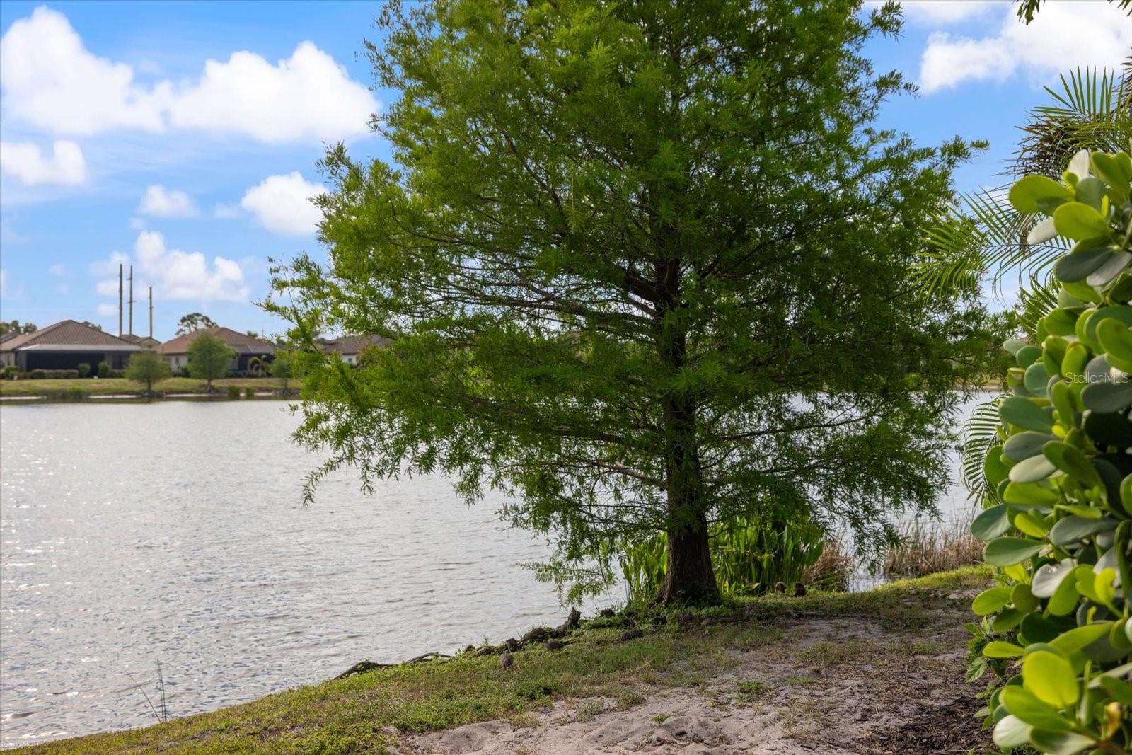 26821 WEISKOPF DR, ENGLEWOOD, FL, 34223