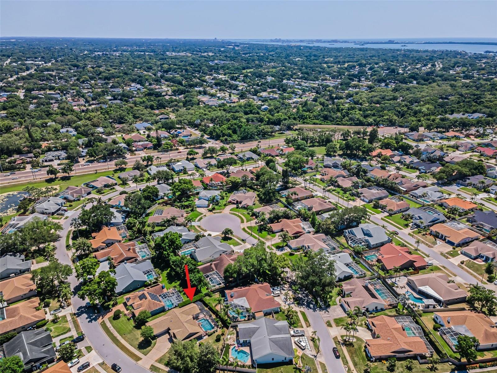 2814 JARVIS CIR, PALM HARBOR, FL, 34683