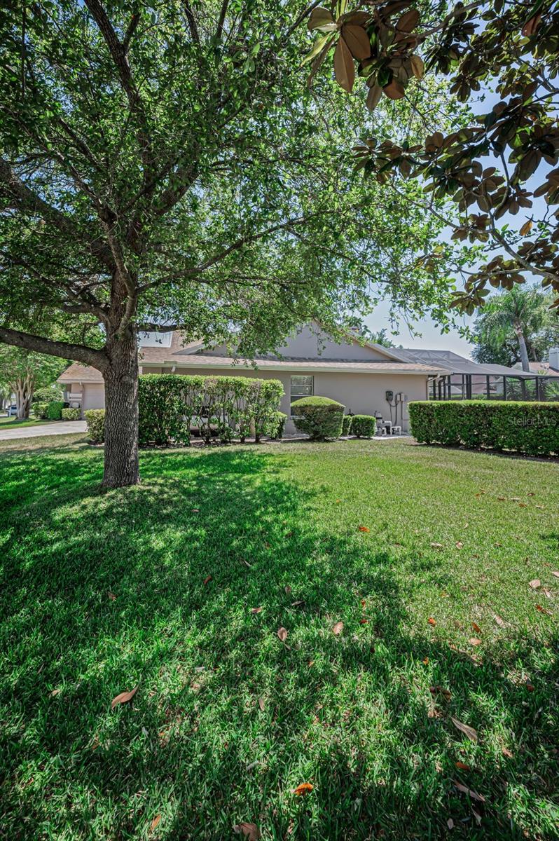 2814 JARVIS CIR, PALM HARBOR, FL, 34683