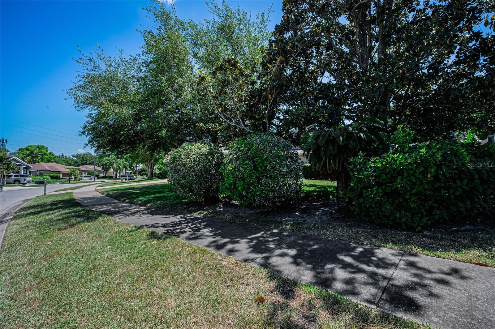 2814 JARVIS CIR, PALM HARBOR, FL, 34683