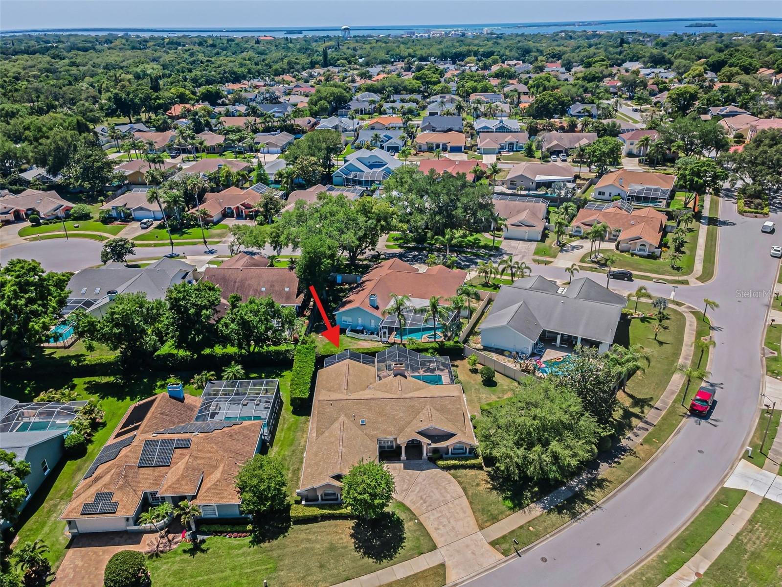 2814 JARVIS CIR, PALM HARBOR, FL, 34683