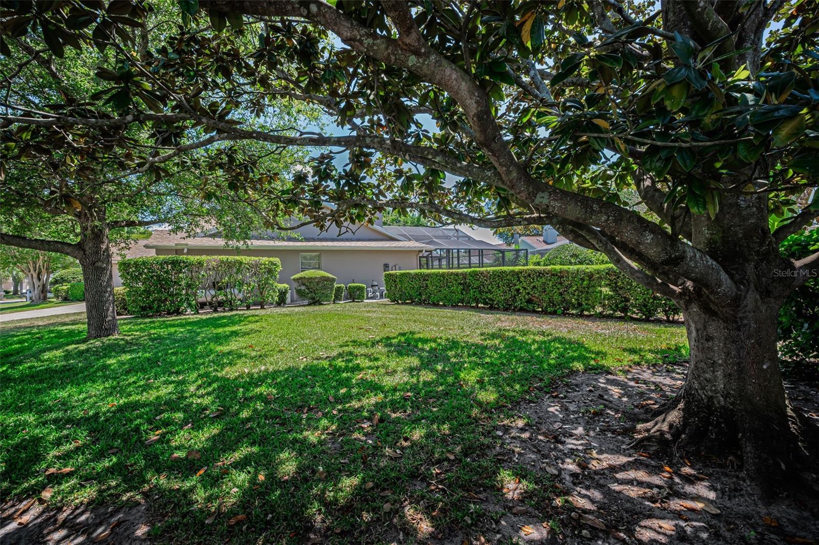 2814 JARVIS CIR, PALM HARBOR, FL, 34683