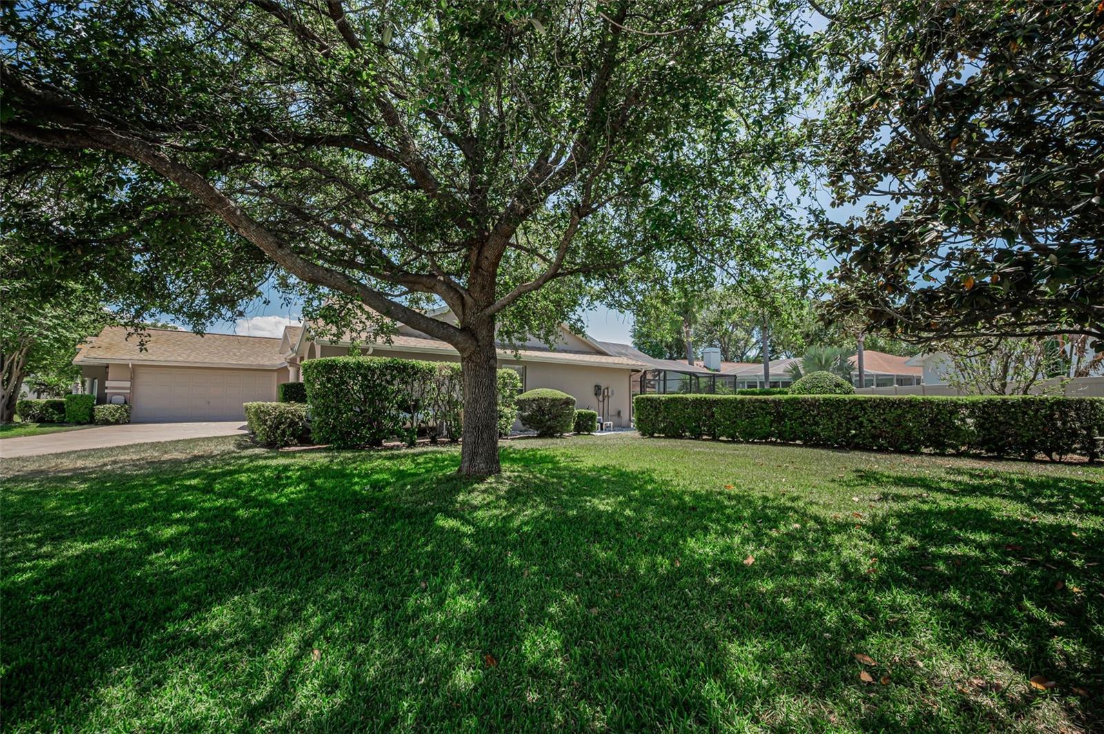 2814 JARVIS CIR, PALM HARBOR, FL, 34683