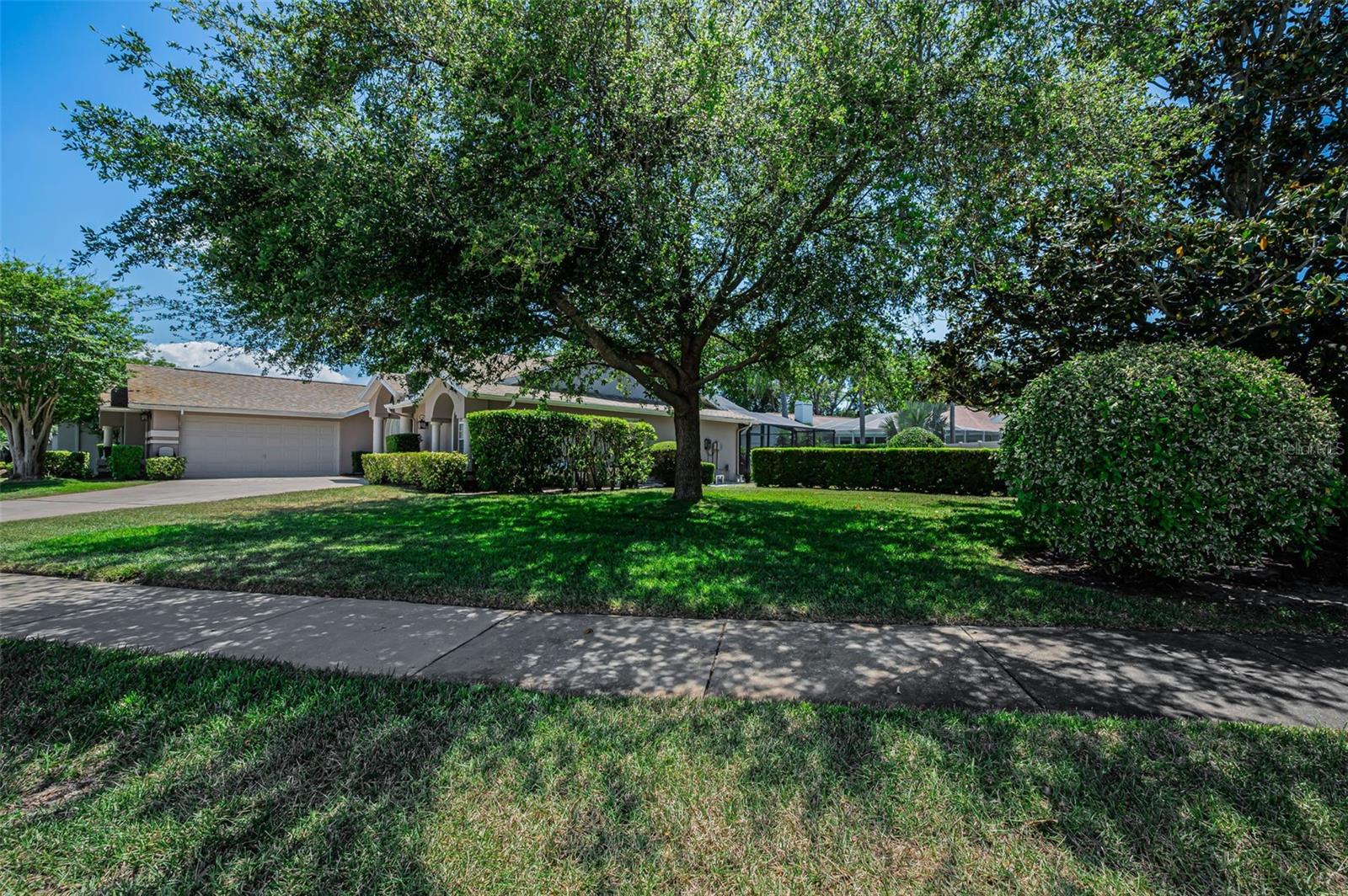 2814 JARVIS CIR, PALM HARBOR, FL, 34683