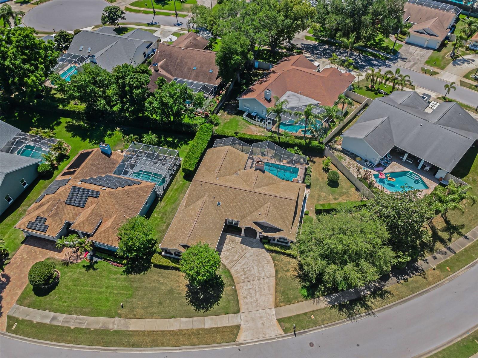 2814 JARVIS CIR, PALM HARBOR, FL, 34683