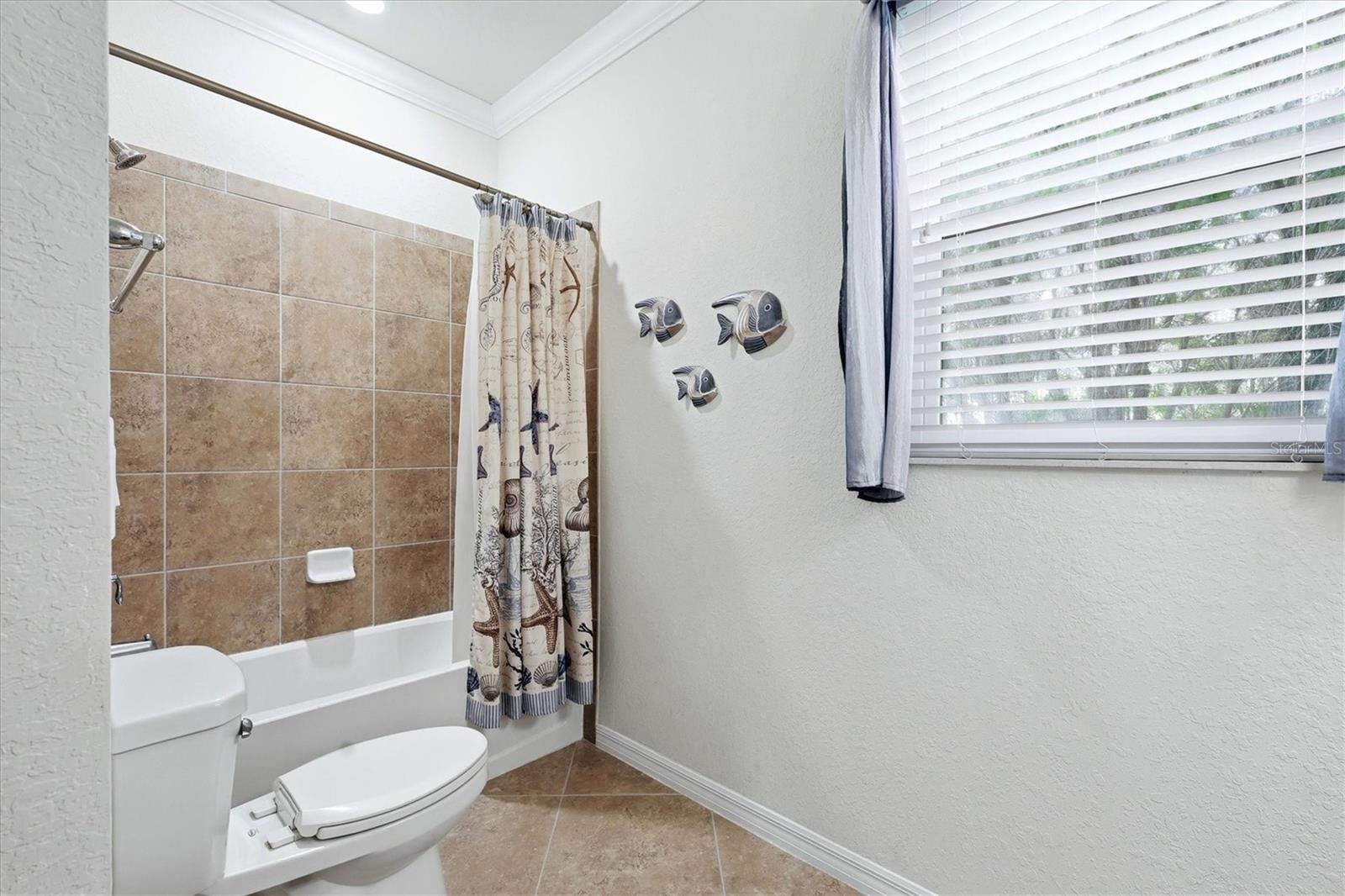 12541 CINQUETERRE DR, VENICE, FL, 34293