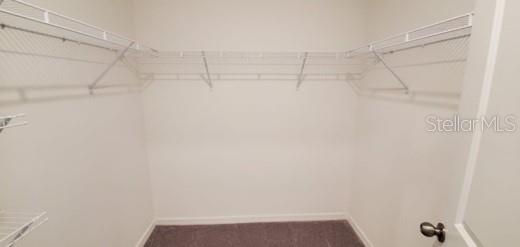 11859 DUMAINE VALLEY RD, RIVERVIEW, FL, 33579