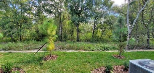 11859 DUMAINE VALLEY RD, RIVERVIEW, FL, 33579