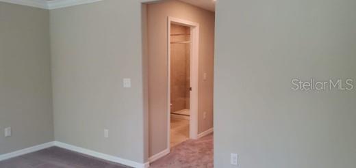 11859 DUMAINE VALLEY RD, RIVERVIEW, FL, 33579