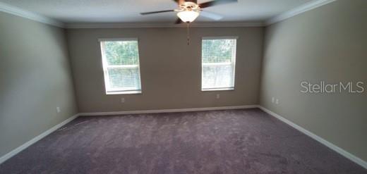 11859 DUMAINE VALLEY RD, RIVERVIEW, FL, 33579