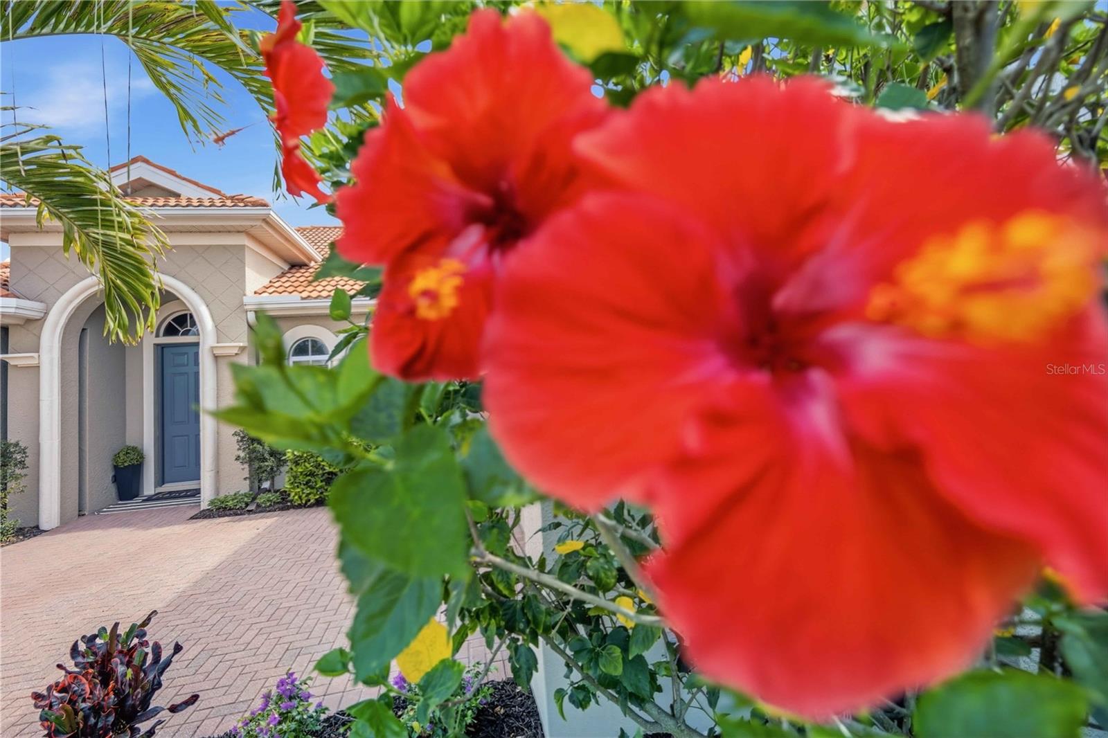 170 MONTELLUNA DR, NORTH VENICE, FL, 34275