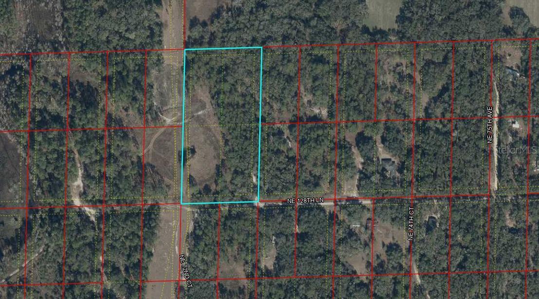 TBD NE 128TH LN, BRONSON, FL, 32621