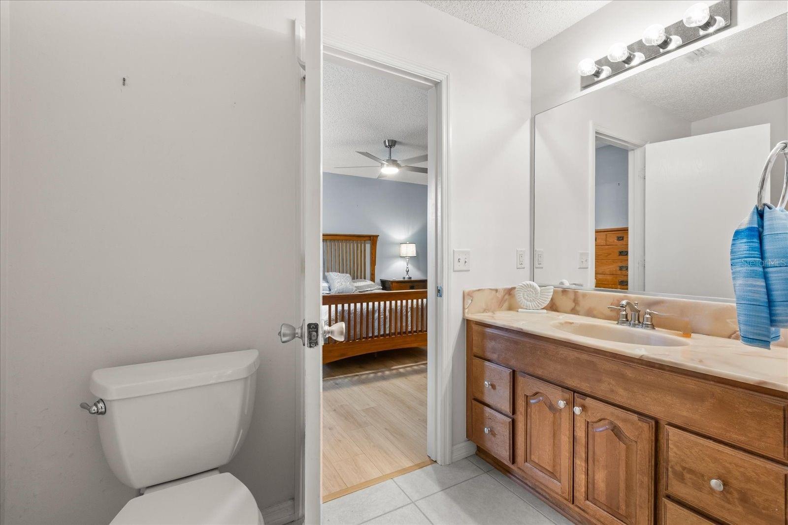 300 VARNVILLE WAY, THE VILLAGES, FL, 32162