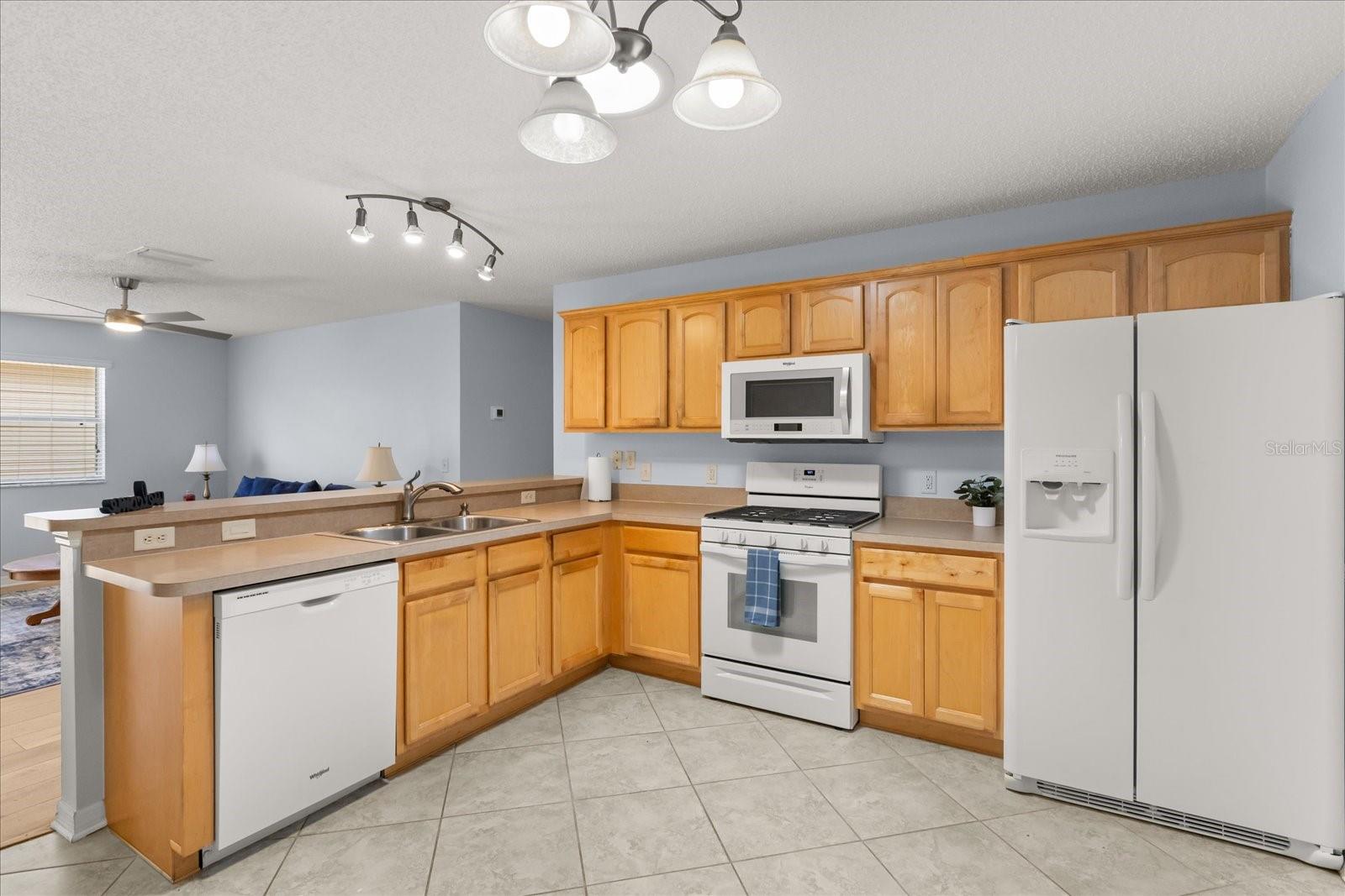 300 VARNVILLE WAY, THE VILLAGES, FL, 32162