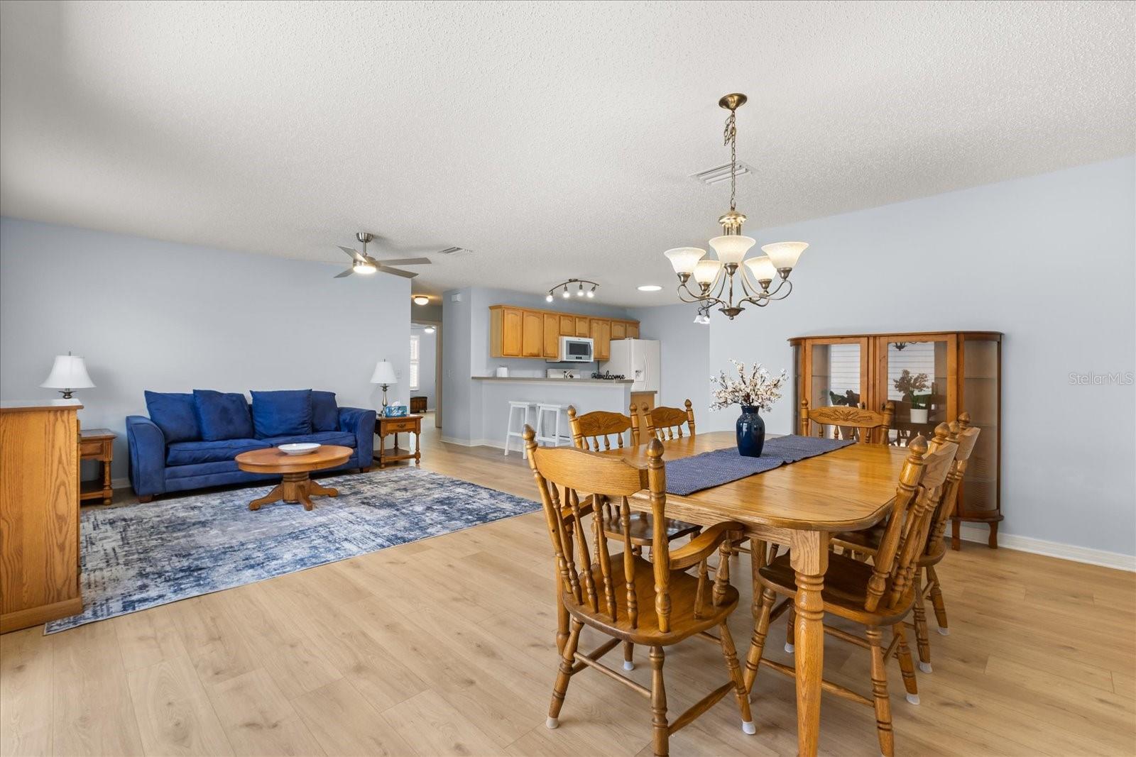 300 VARNVILLE WAY, THE VILLAGES, FL, 32162