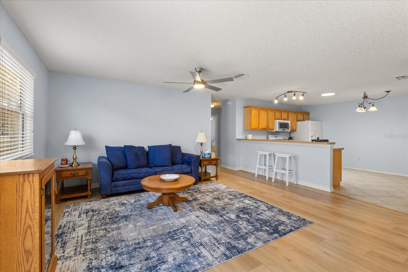 300 VARNVILLE WAY, THE VILLAGES, FL, 32162