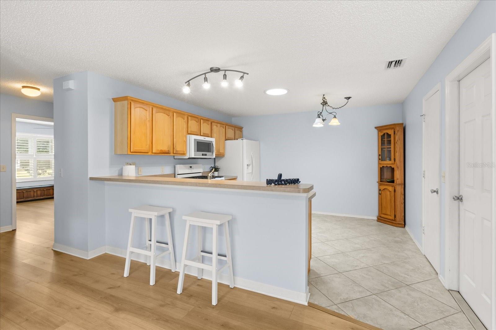 300 VARNVILLE WAY, THE VILLAGES, FL, 32162