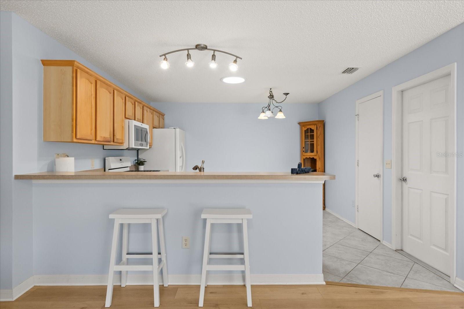 300 VARNVILLE WAY, THE VILLAGES, FL, 32162